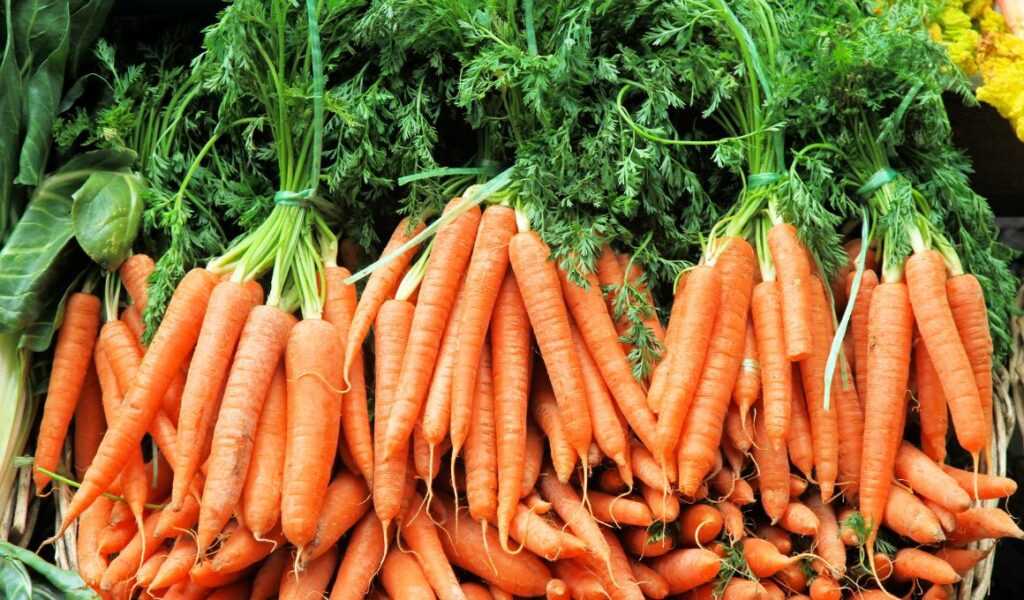 Baltimore Carrots
