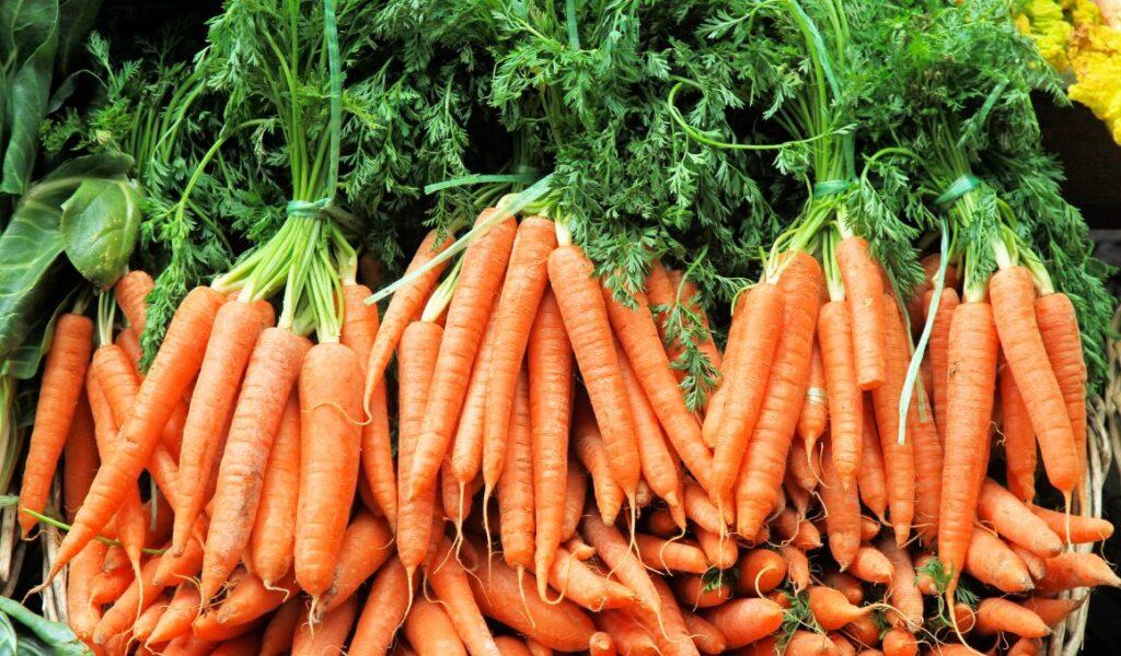 Napa Carrots