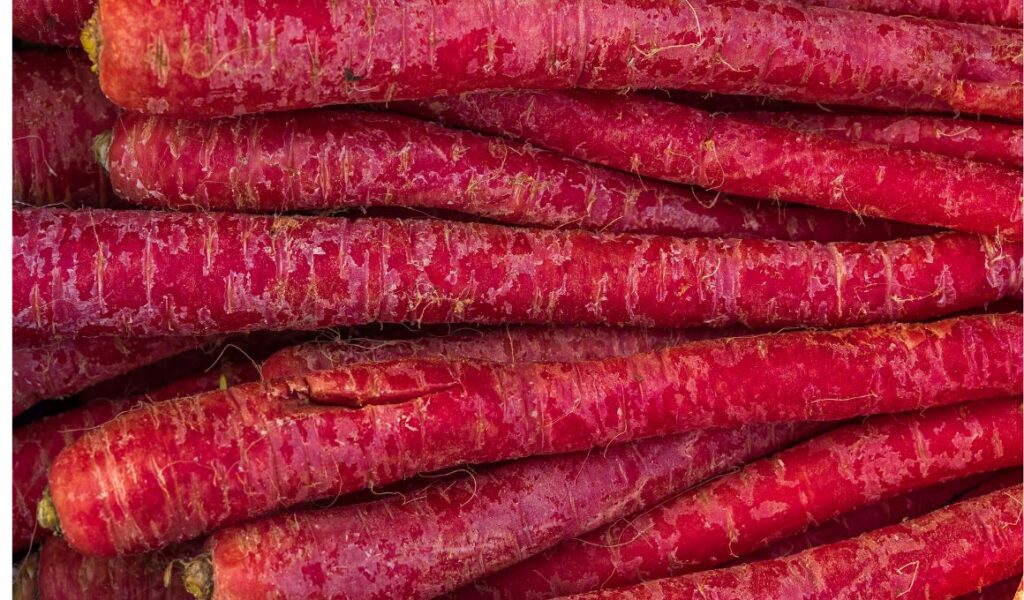 Red-Cored Carrots
