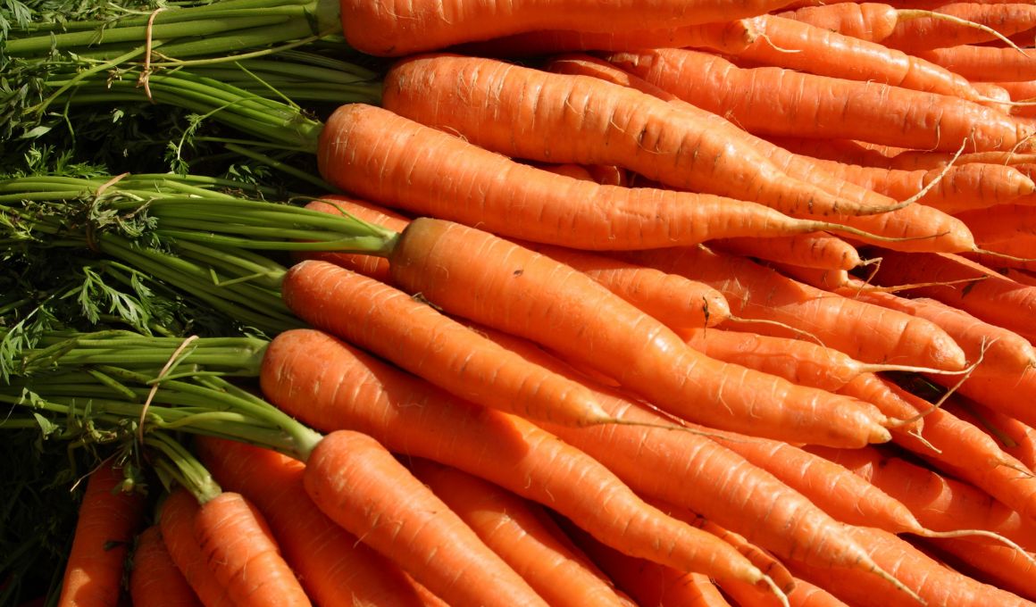 Can I Eat Carrots That Have Been Infested with Carrot Weevils?