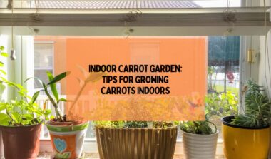 Indoor Carrot Garden