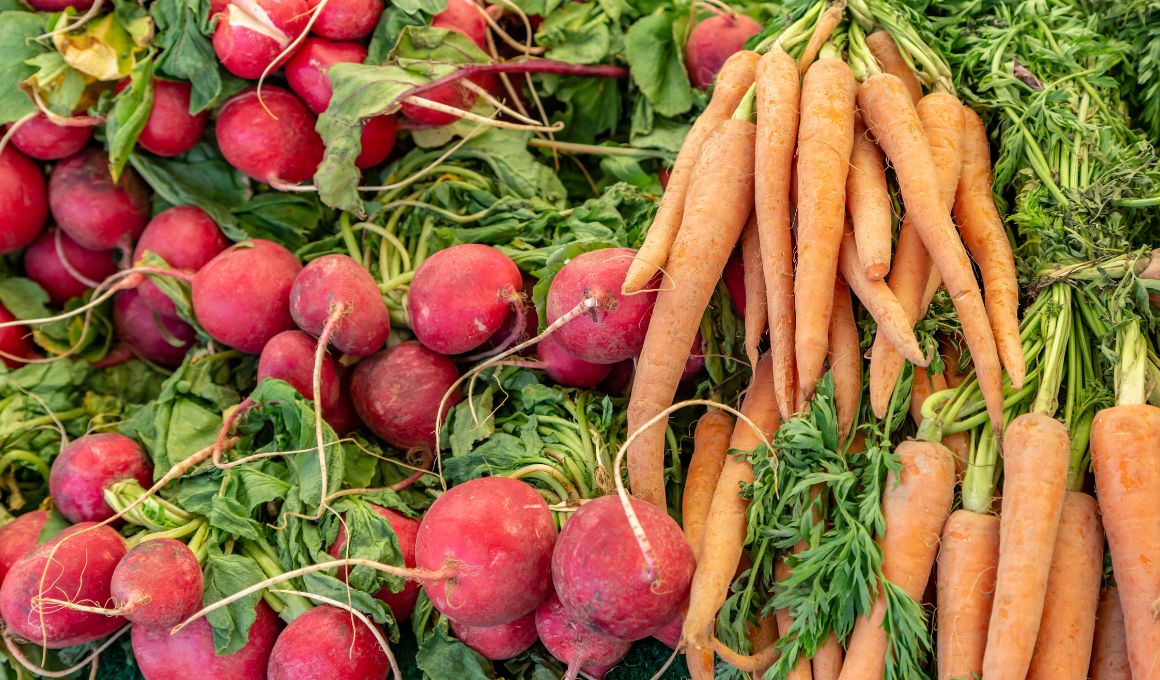 The Challenges of Transplanting Carrots and Radish