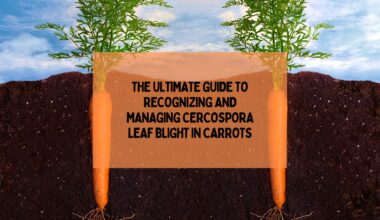 The Ultimate Guide To Recognizing And Managing Cercospora Leaf Blight In Carrots