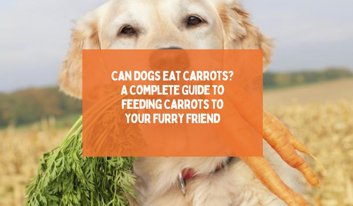 Can Dogs Eat Carrots? A Complete Guide to Feeding Carrots to Your Furry