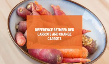 Difference Between Red Carrots and Orange Carrots'
