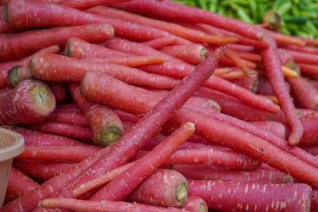 Pakistani Carrots Red